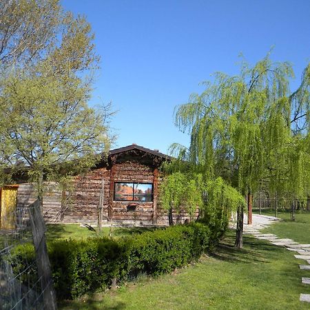 Castelnuovo Bormida Cascina Beneficioヴィラ エクステリア 写真