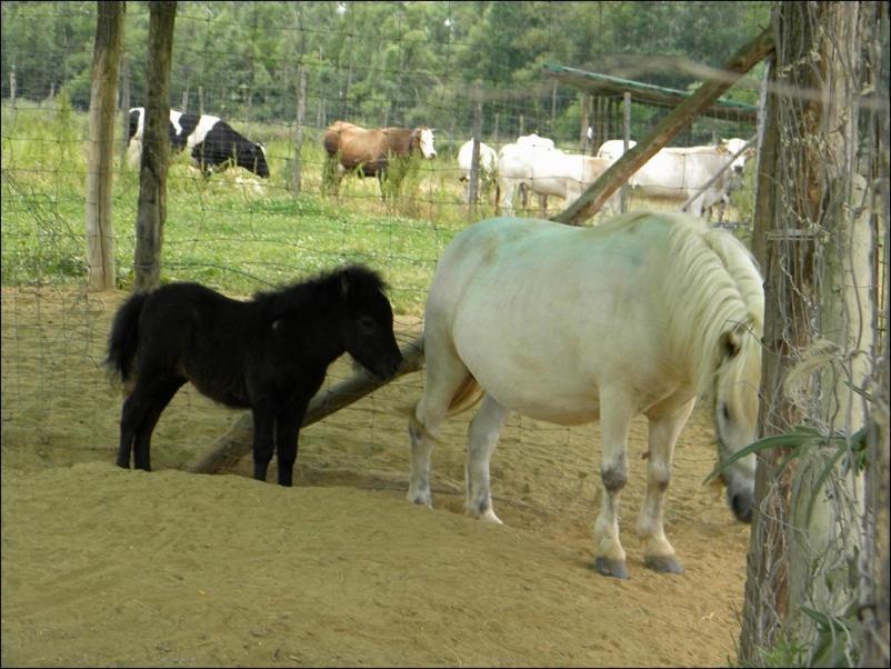 Castelnuovo Bormida Cascina Beneficioヴィラ エクステリア 写真