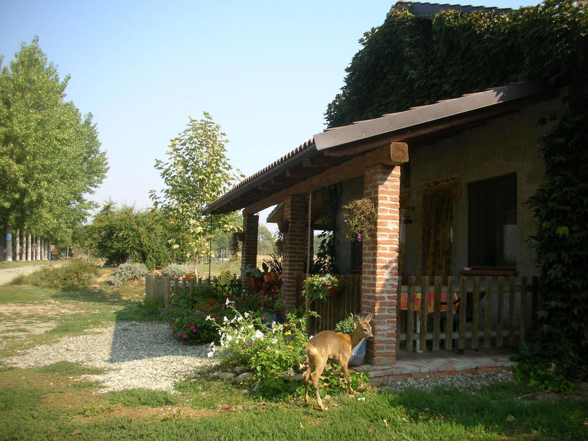 Castelnuovo Bormida Cascina Beneficioヴィラ エクステリア 写真