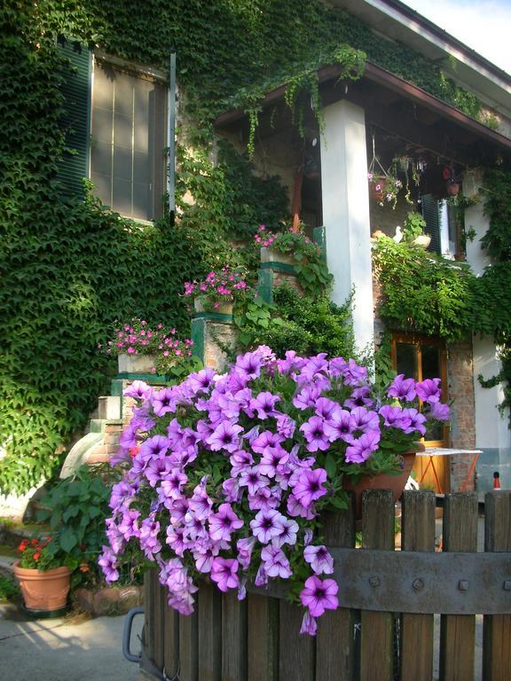 Castelnuovo Bormida Cascina Beneficioヴィラ エクステリア 写真